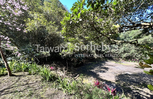 台北文山區萬坪森空間土地現場實景